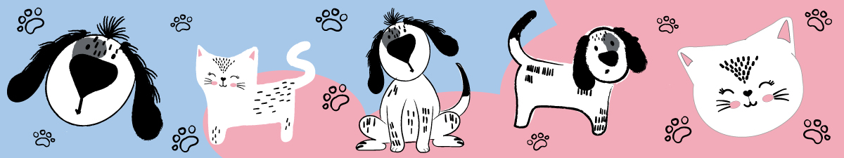Woof&Meow, design a 4 zampe