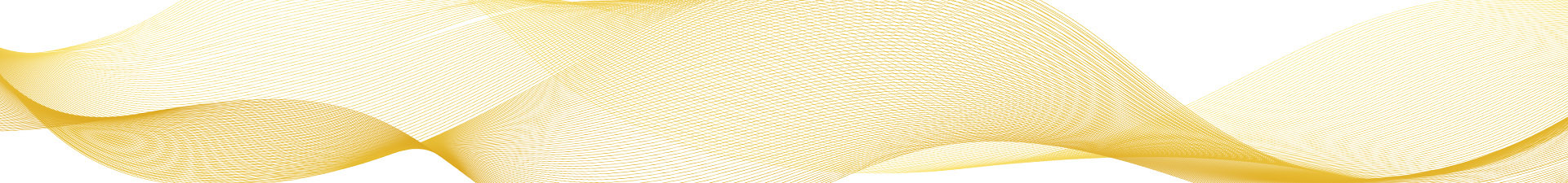 ingrosso Sacchetti in organza