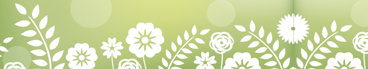 Ingrosso veranda e giardino