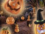 Accendi l'atmosfera di Halloween