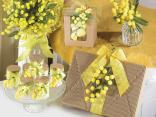 Accessories women's day packages