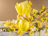 Carta da regalo per uovo di Pasqua