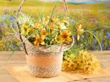 Cestini floreali primaverili