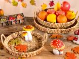 Decoraciones de ventanas de otoño