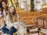 Decorare e allestire la vetrina autunnale