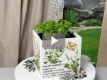 Design con erbe aromatiche