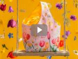 Fiori di campo by 14zero3