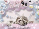 Happy Cat-urday!!
