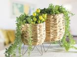 Idee arredo vasi