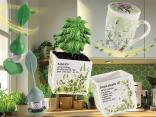 Infusori erbe tazze coperchio