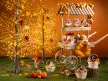 Magia d'autunno in vetrina