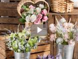 Spring on display