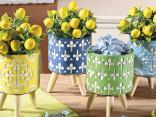 Summer compositions and showcases