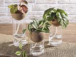 Tendencias de decoración del hogar para el verano