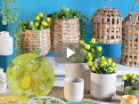 Tendenza design limone per la vetrina estiva