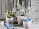 Vases et bouquets de fleurs
