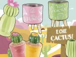 Vaze & cactusi, descopera tendintele sezoniere