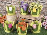 Wholesale florists and shop windows