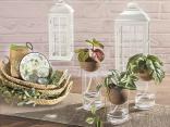 plant pots, lanterns and woven baskets