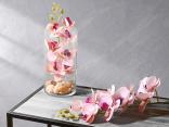vasi e orchidee all'ingrosso