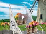 vitrine dulapuri online