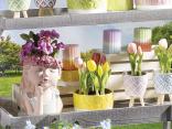 vitrine en gros