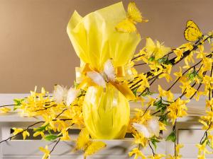 Carta da regalo per uovo di Pasqua