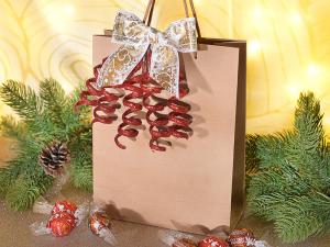 Christmas envelopes and bags