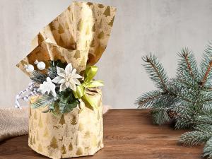 Confezione panettone pandoro