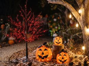 Decorazioni Halloween luminose