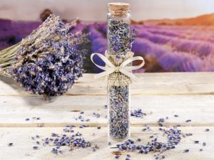 Favores de boda de lavanda de moda