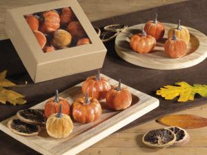 Grossiste d'articles d'automne