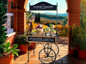 Ideas para escaparates de otoño al por mayor