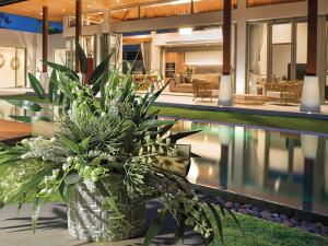 Idee allestimento piscina estiva