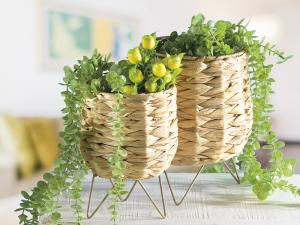 Idee arredo vasi