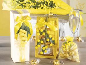 Ingrosso festa della donna mimose e idee regalo