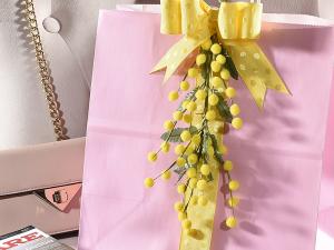 Mimose e accessori per packaging festa donna