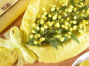 Mimose women's day