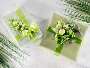 Packaging di primavera