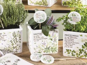 Piante ed erbe aromatiche in cucina: