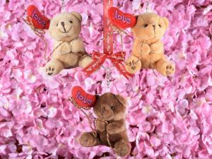 Tenere idee regalo in vetrina