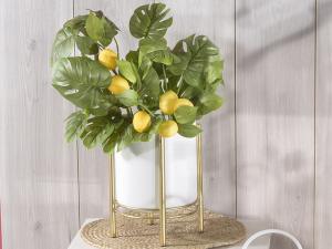 Vases for summer arrangements