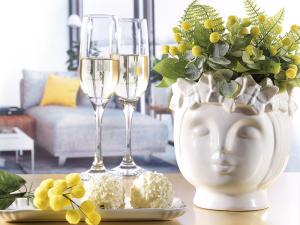 Vasi di design e mimose