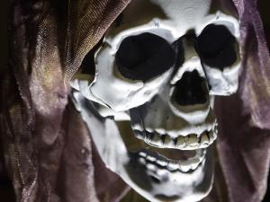 Vitrine d'Halloween : des idées effrayantes