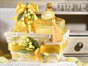 Wholesale mimosas and packaging accessories
