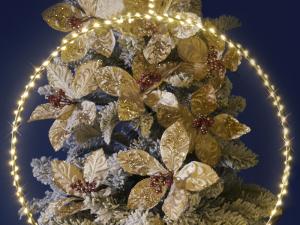 cerchi luminosi di Natale