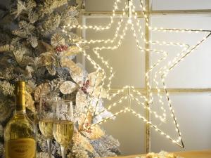 stella led natalizia