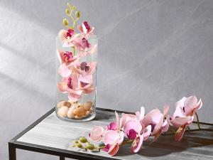 vasi e orchidee all'ingrosso