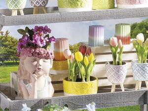 wholesale window display