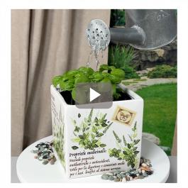 Design con erbe aromatiche